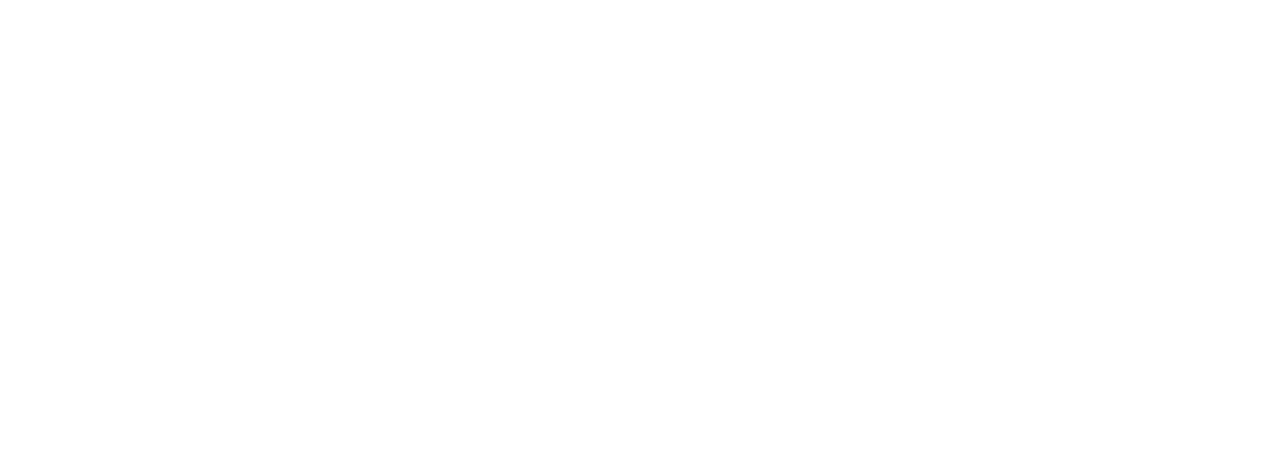 логотип проекта