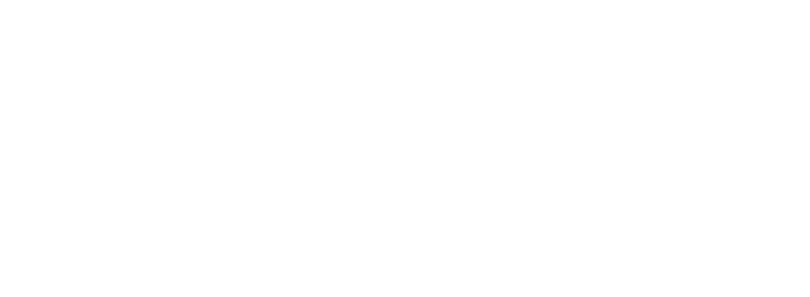 логотип проекта